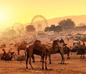 Palaces of Rajasthan 
with Classical India Tour Package